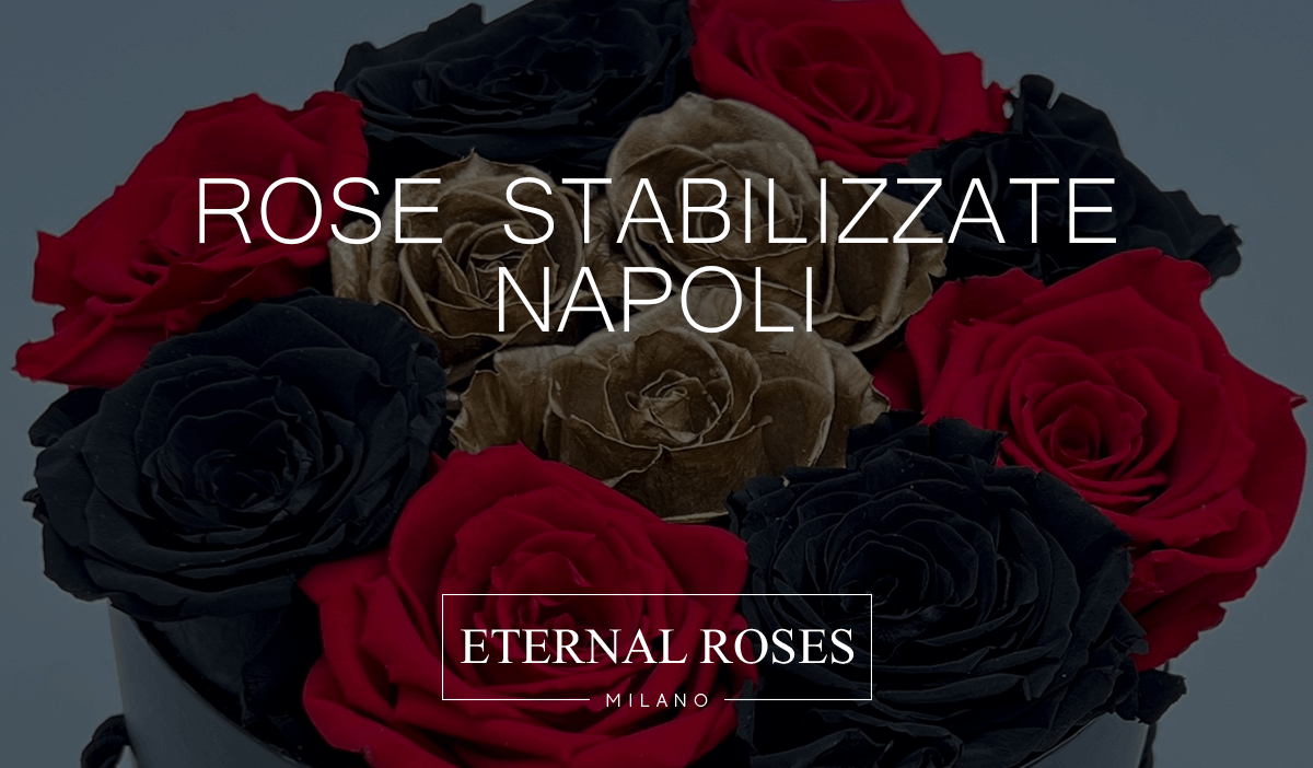 Rosa Eterna Stabilizzata Rosa XL - Box Alcantara Nero XS – Eternal Roses  Milano