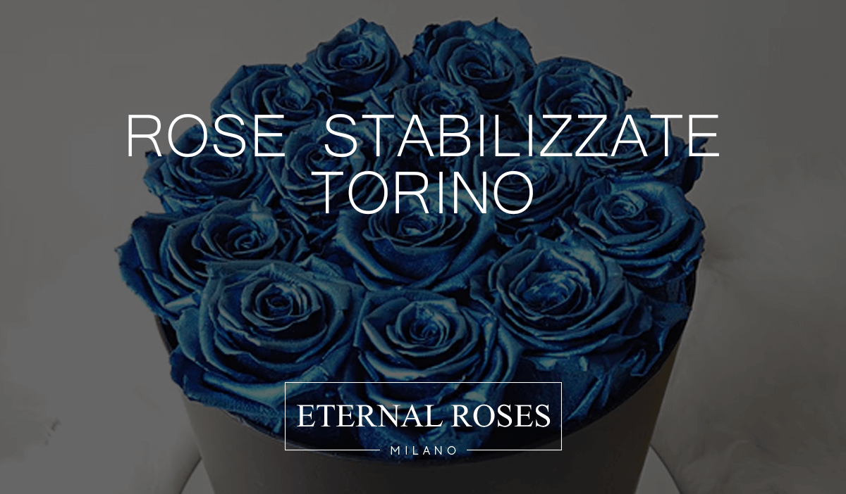 ROSA STABILIZZATA - Fiori a Torino consegna a domicilio