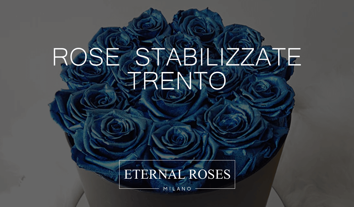Rose Eterne Stabilizzate a Trento - Consegna a domicilio – Eternal Roses  Milano