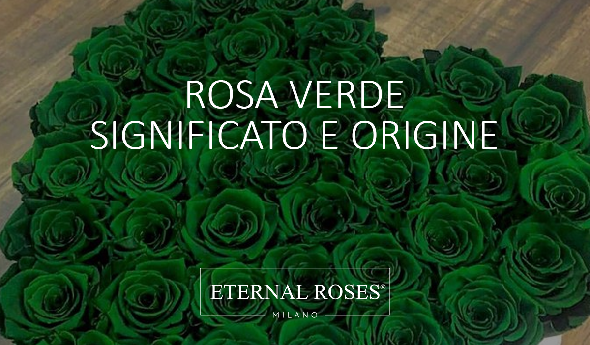 Rosa Verde: significato e origine – Eternal Roses Milano