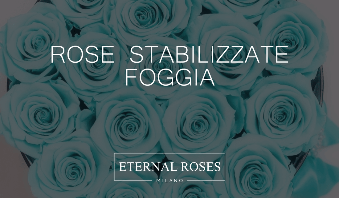 Rose Eterne Stabilizzate a Foggia