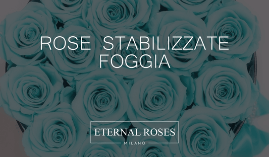 Rose Eterne Stabilizzate a Foggia