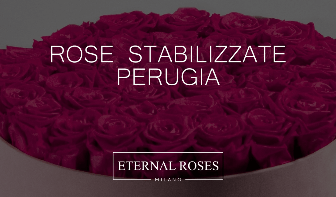 Rose Eterne Stabilizzate a Perugia