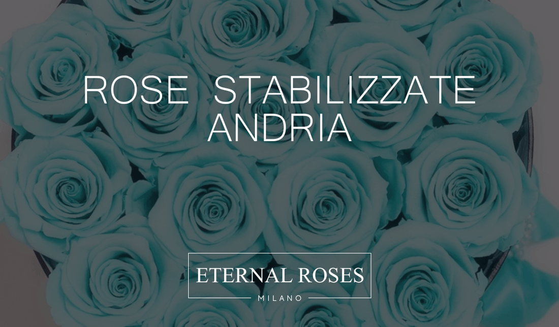 Rose Eterne Stabilizzate a Andria