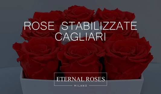 Rose Eterne Stabilizzate a Cagliari
