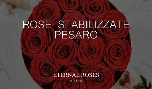 Rose Eterne Stabilizzate a Pesaro