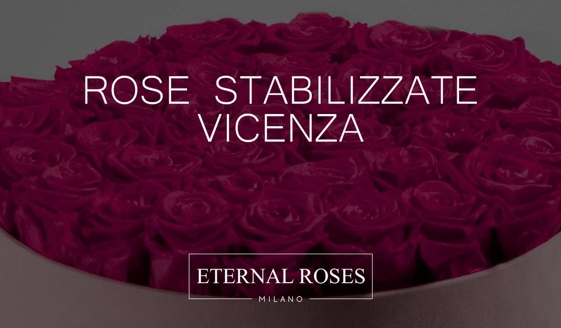 Rose Eterne Stabilizzate a Vicenza