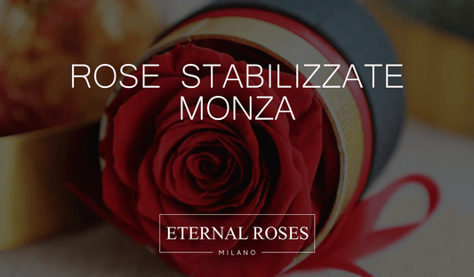 Rose Eterne Stabilizzate a Monza