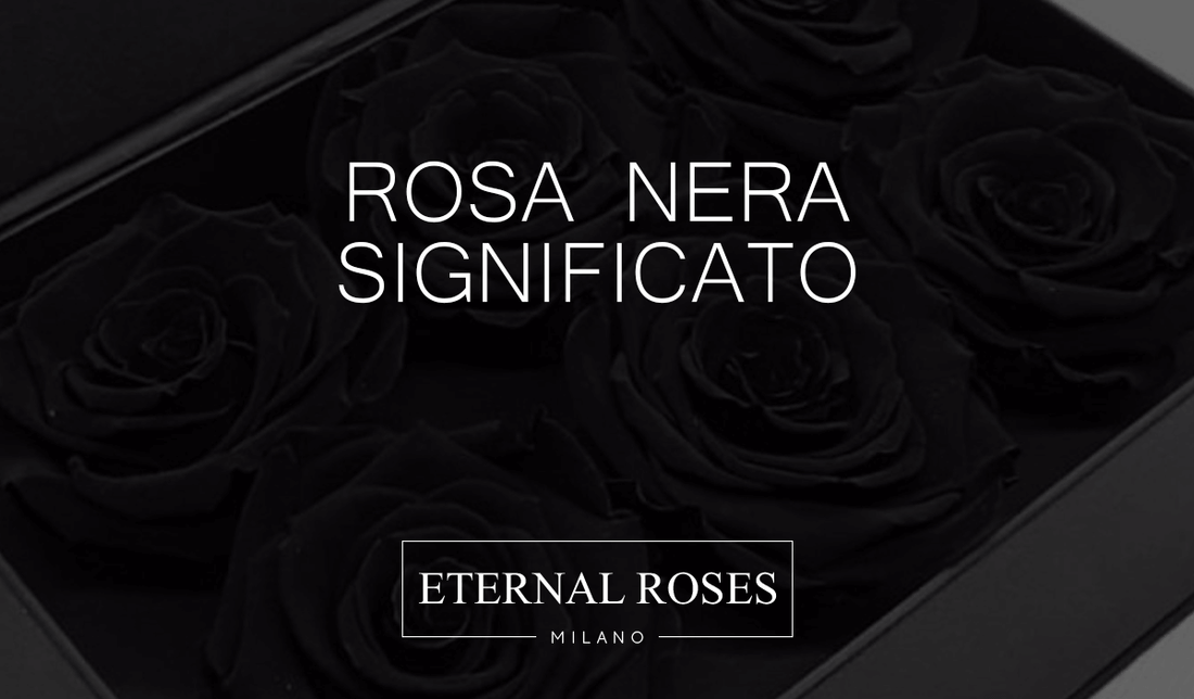 Rosa Negra: significado y origen – Eternal Roses Milano