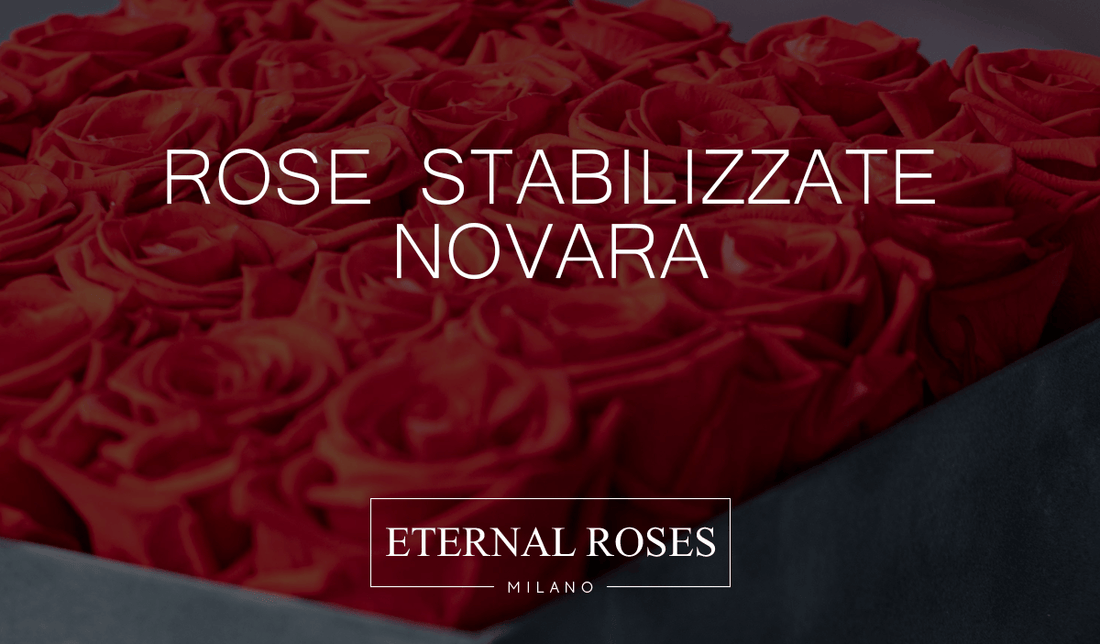 Rose Eterne Stabilizzate a Novara