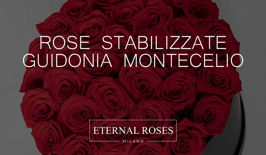 Rose Eterne Stabilizzate a Guidonia Montecelio