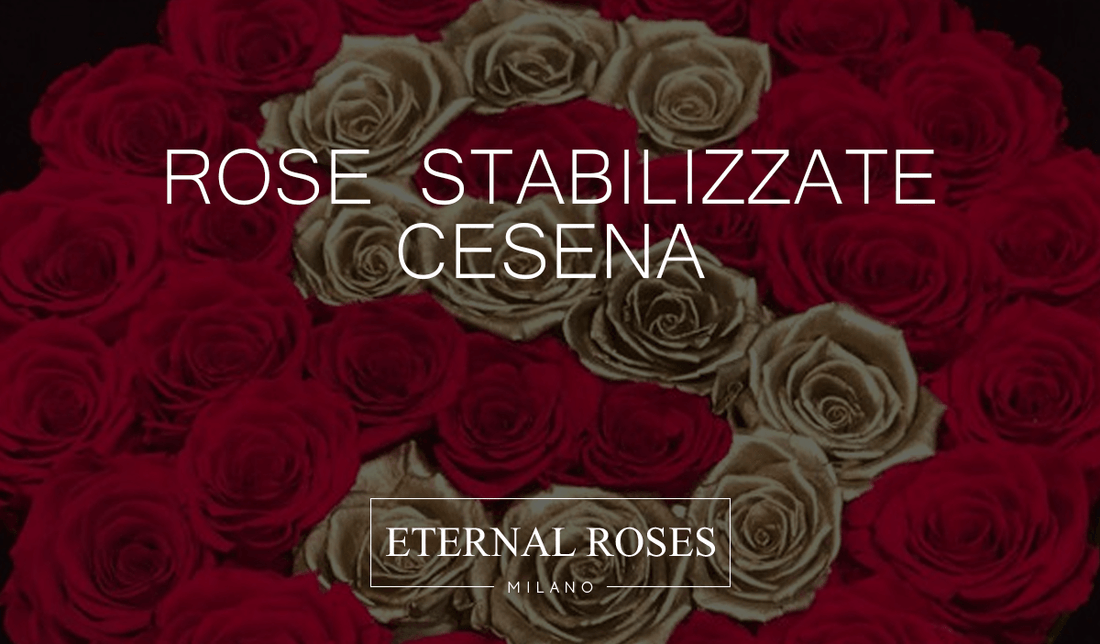 Rose Eterne Stabilizzate a Cesena
