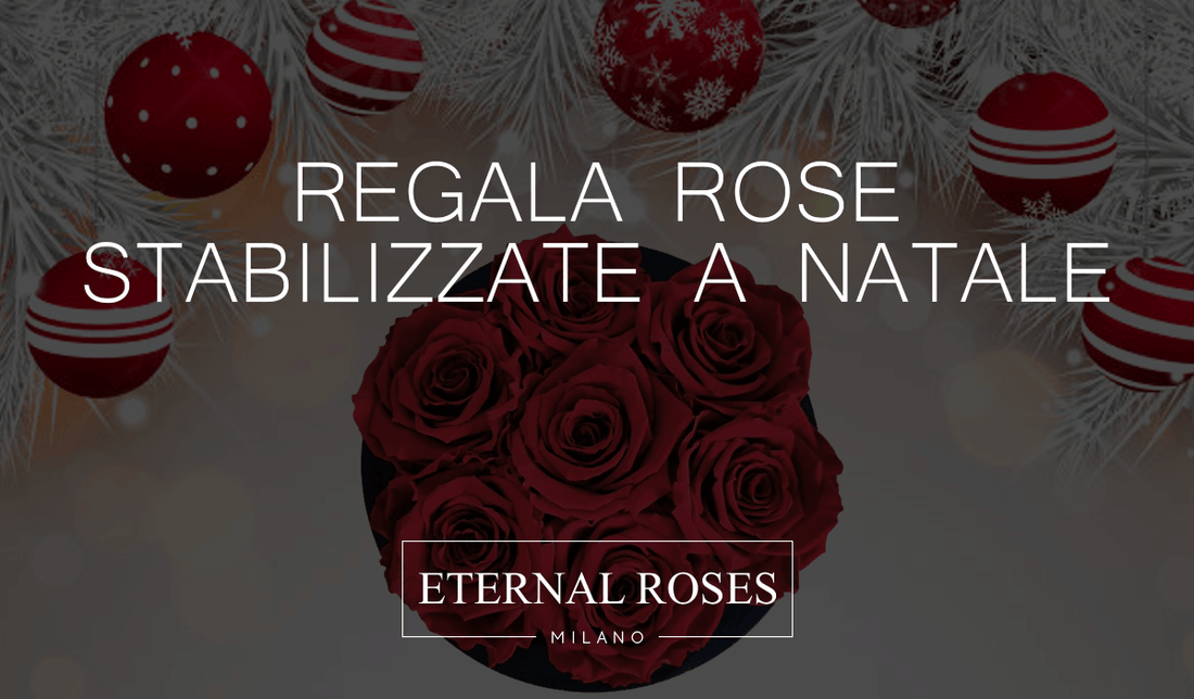 Rose Eterne Stabilizzate a Natale