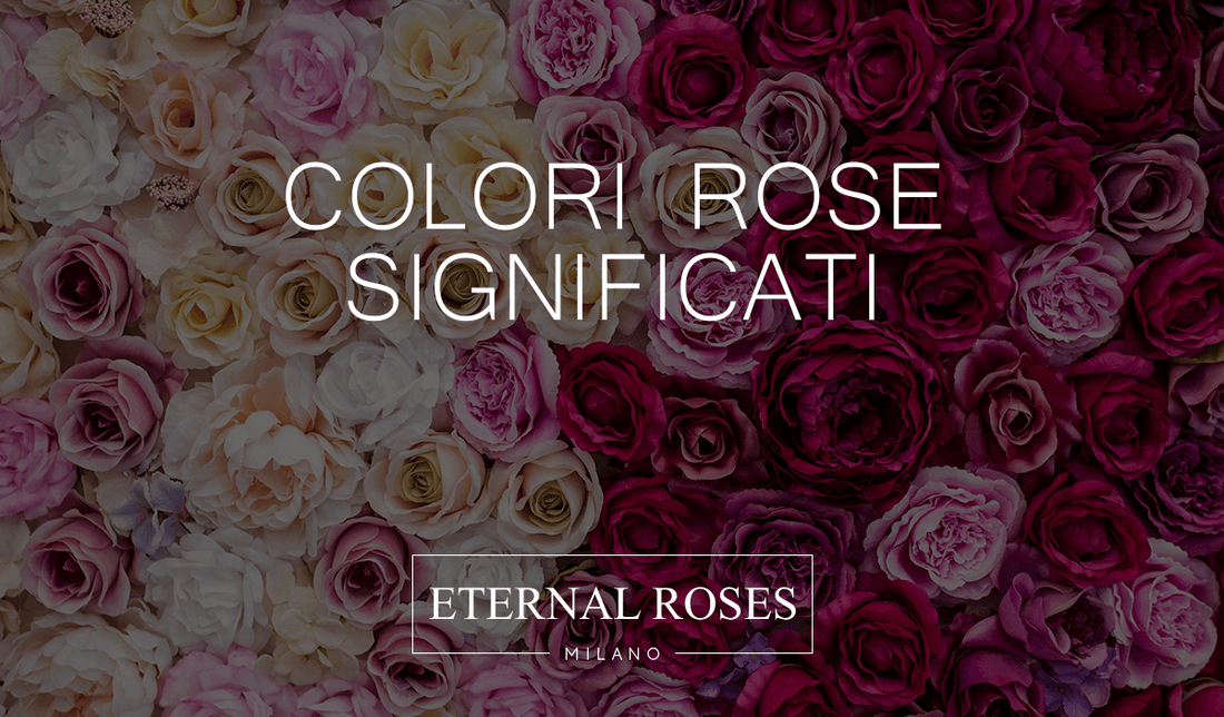 Rose: colori e signficati