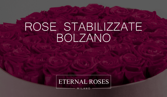 Rose Eterne Stabilizzate a Bolzano