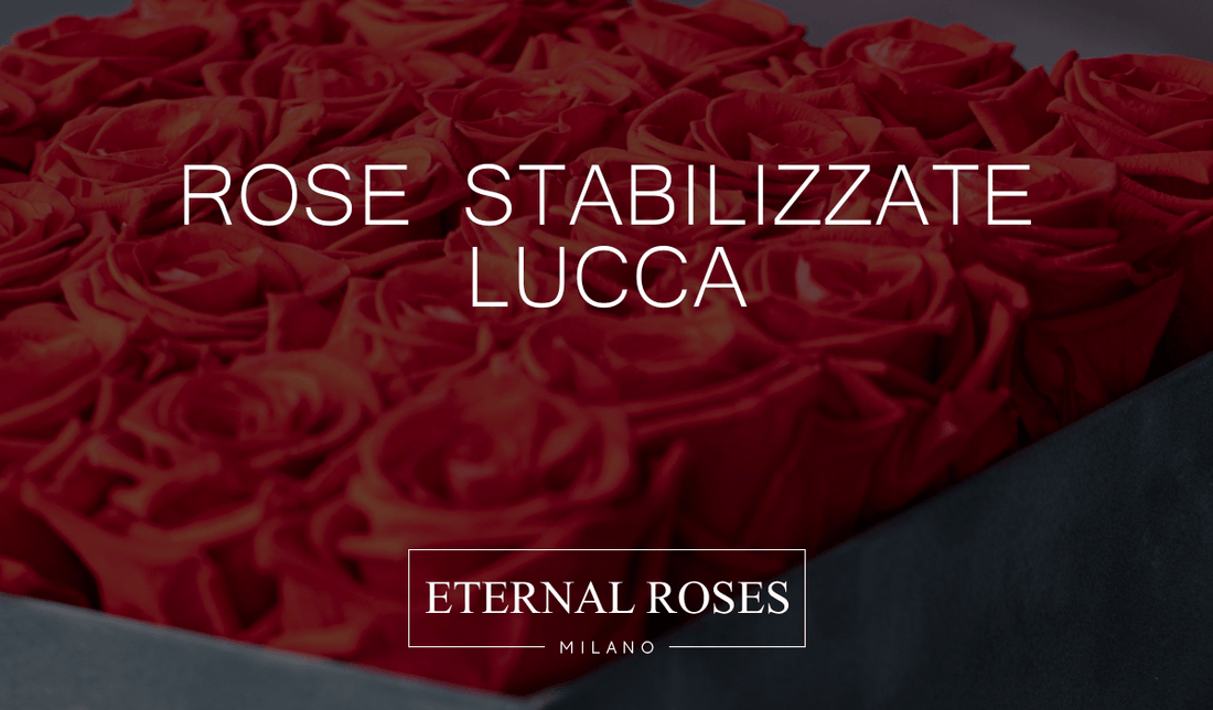 Rose Eterne Stabilizzate a Lucca