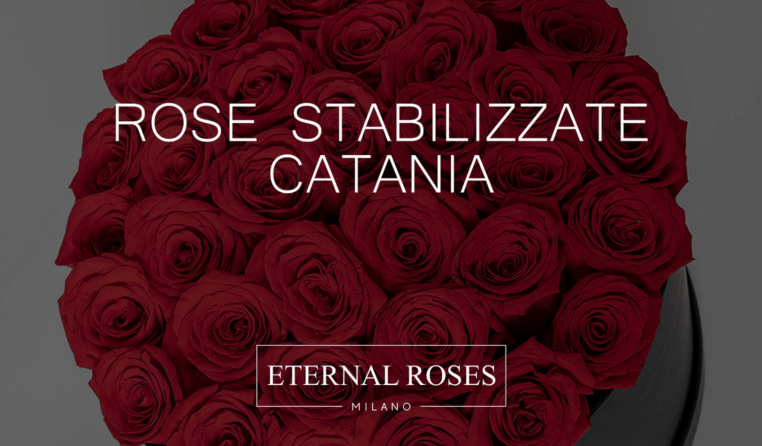 Rose Eterne Stabilizzate a Catania