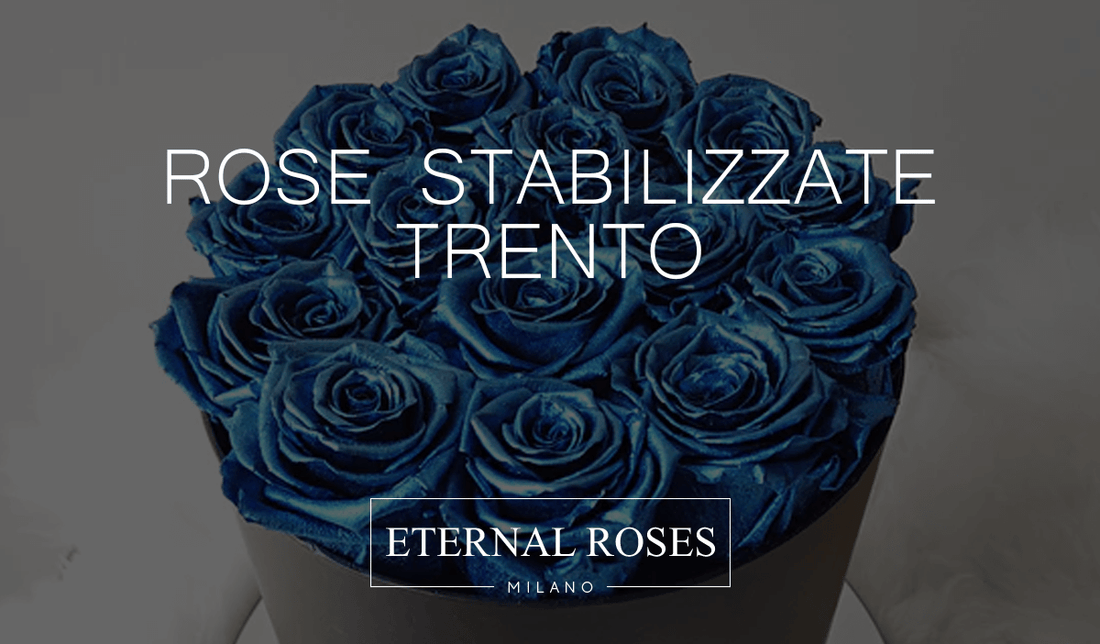 Rose Eterne Stabilizzate a Trento