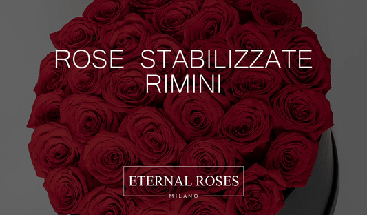 Rose Eterne Stabilizzate a Rimini