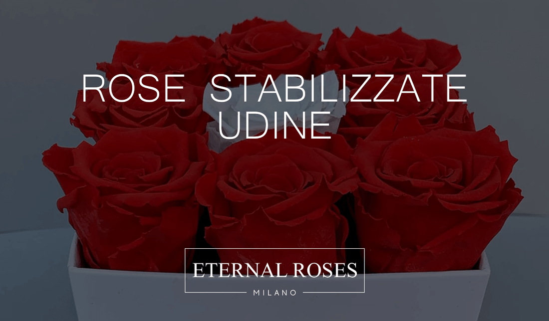 Rose Eterne Stabilizzate a Udine