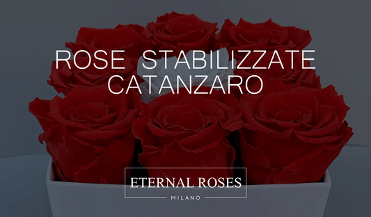 Rose Eterne Stabilizzate a Catanzaro
