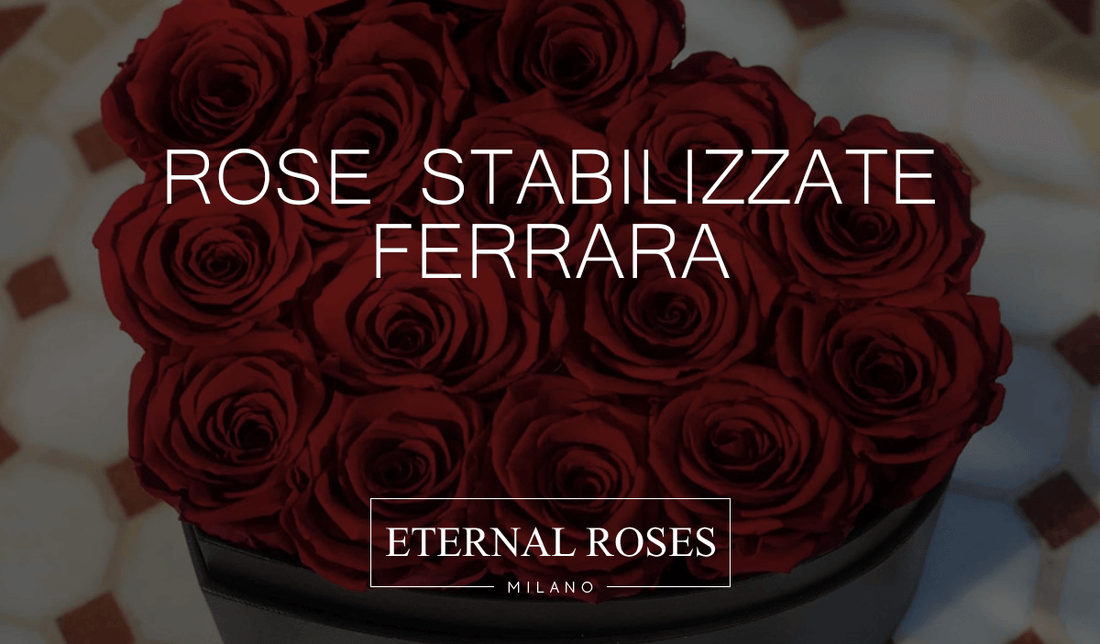 Rose Eterne Stabilizzate a Ferrara