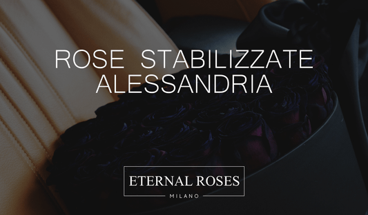 Rose Eterne Stabilizzate ad Alessandria