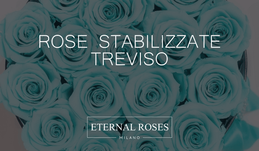 Rose Eterne Stabilizzate a Treviso