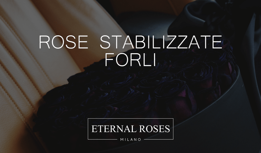Rose Eterne Stabilizzate a Forlì