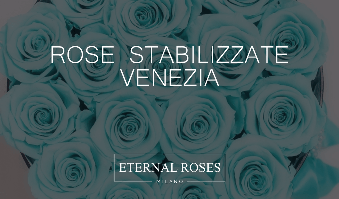 Rose Eterne Stabilizzate a Venezia