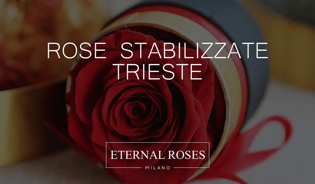 Rose Eterne Stabilizzate a Trieste