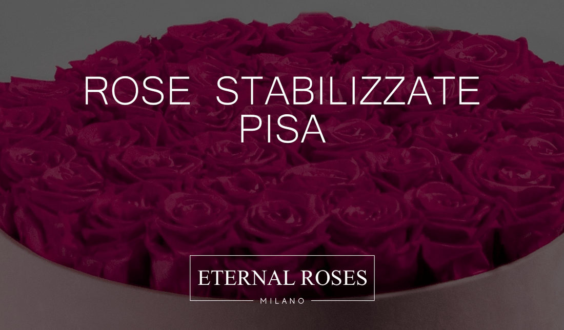 Rose Eterne Stabilizzate a Pisa