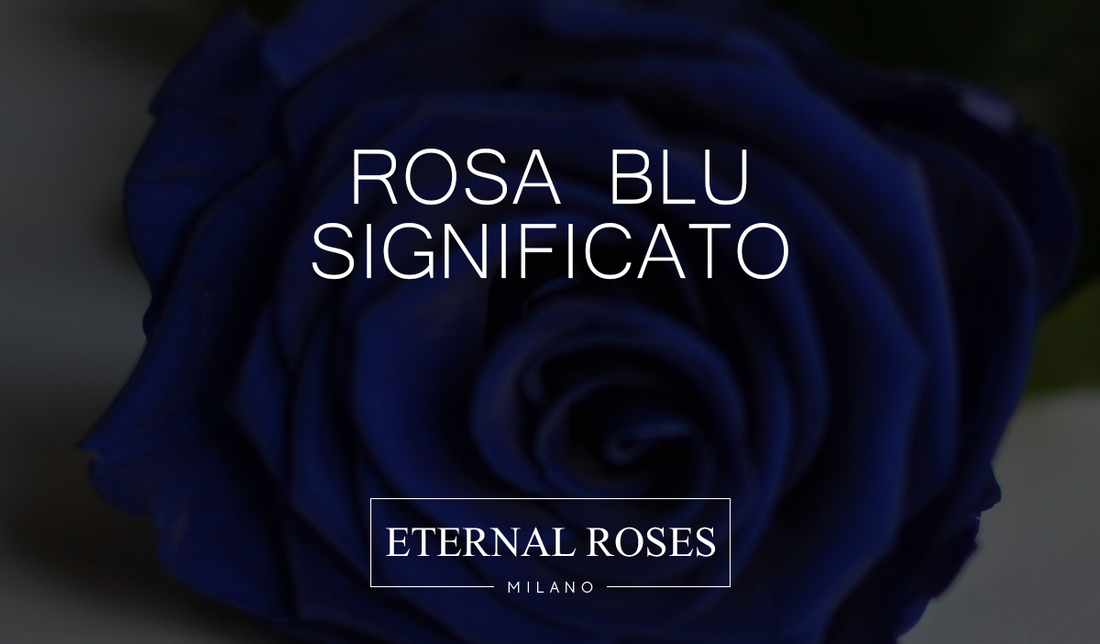 Rosa Blu: significato e quante regalarne – Eternal Roses Milano