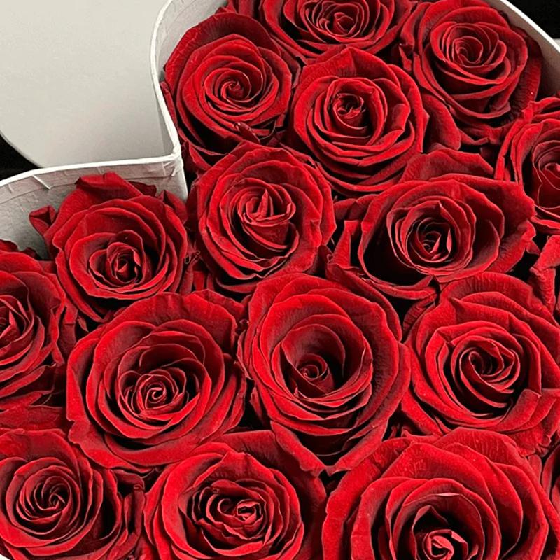 Rose Eterne Stabilizzate - San Valentino