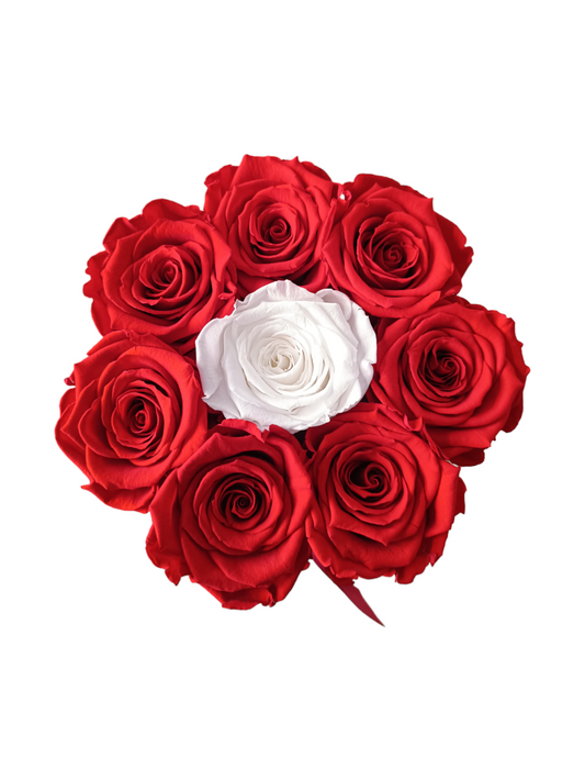 Box Luxury Nero M - Rose Stabilizzate Rosse e Bianche
