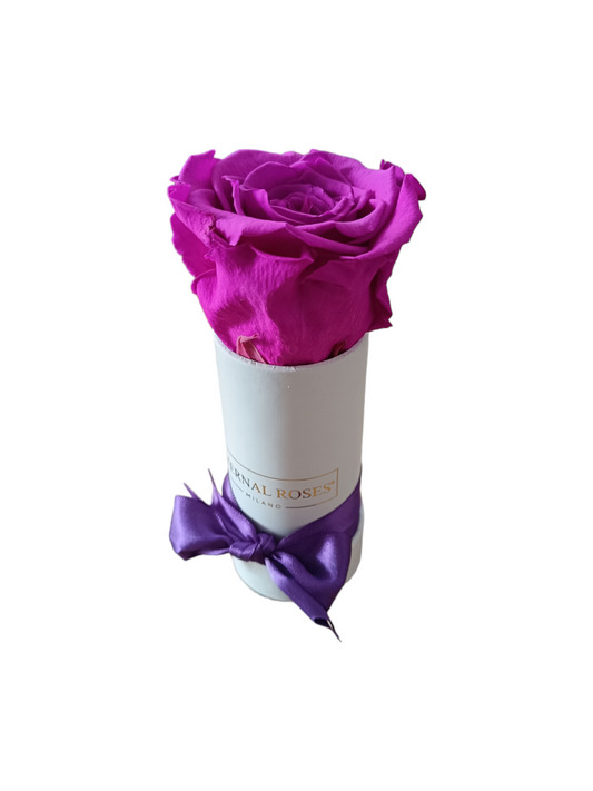 Eternal Roses Milano®  Rose Eterne Stabilizzate e Luxury Box