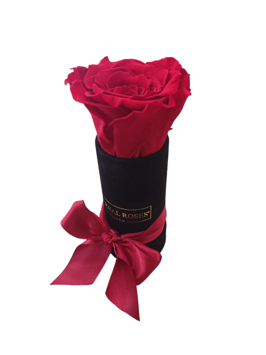 Stabilisierte rote Ewige Rose XL - schwarze Alcantara Box XS