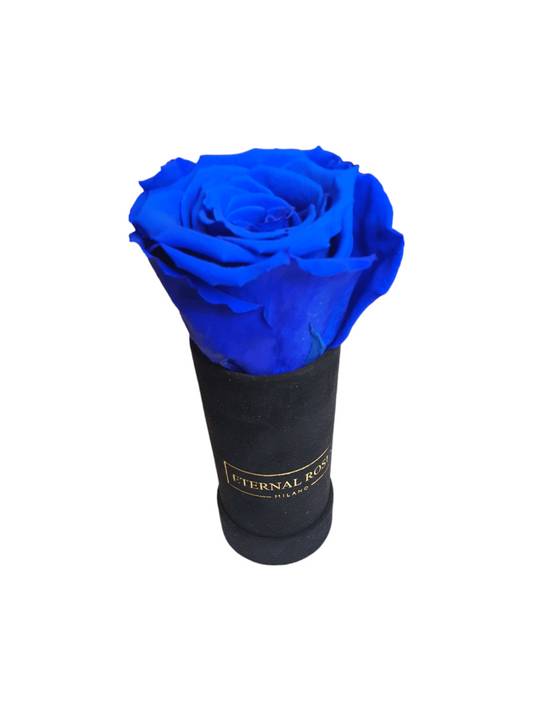 Black Rose: meaning and origin – Eternal Roses Milano