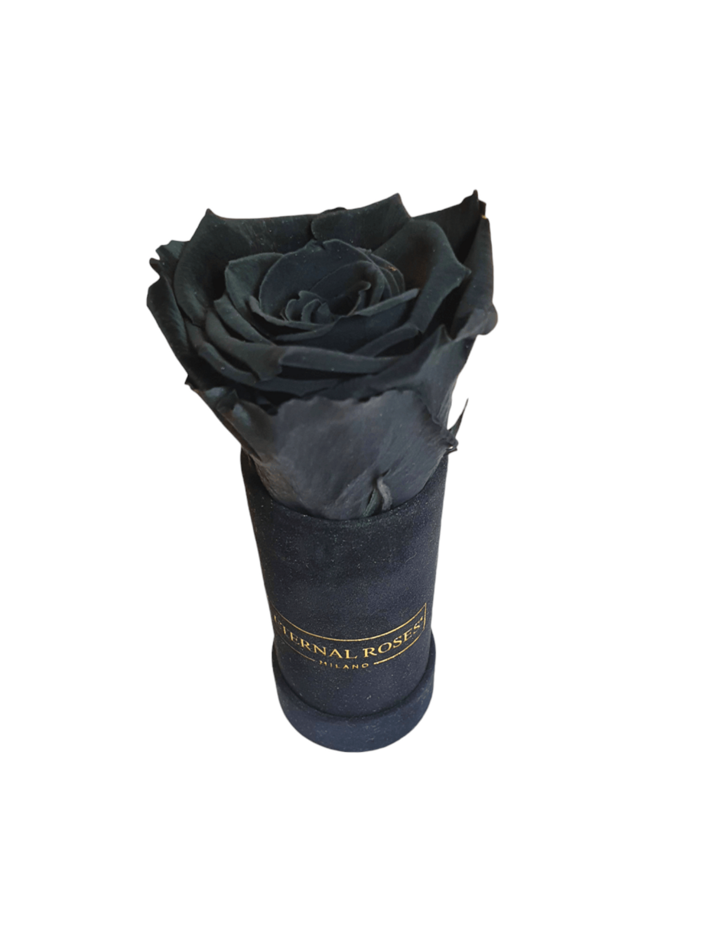 Rose Éternelle Rouge XL - Boîte Alcantara Noire XS