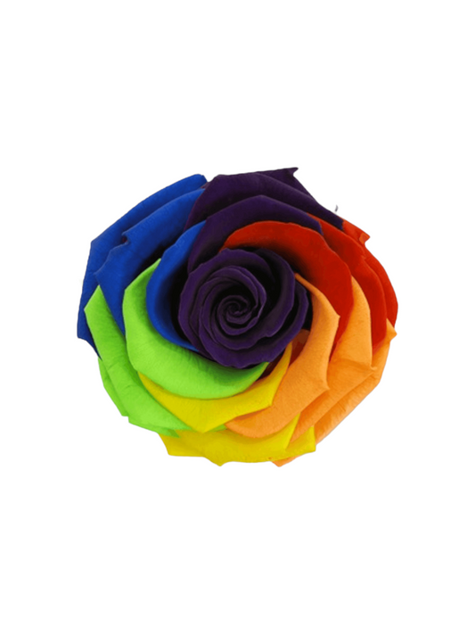Rosa Eterna Stabilizzata Rainbow XL - Campana di vetro