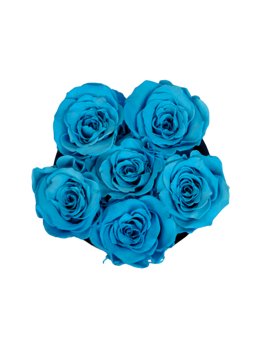 Coffret Nouveau-né Garçon S - Roses Éternelles Bleues Stabilisées XL