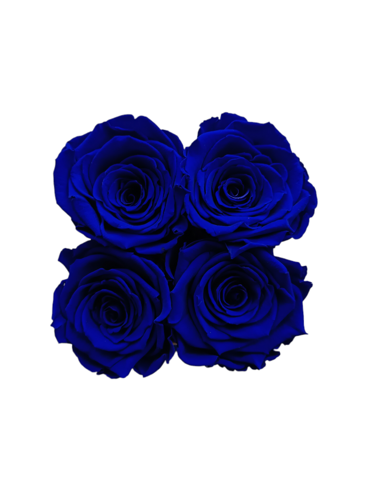 Box Square Bianco S - Rose Stabilizzate Blu