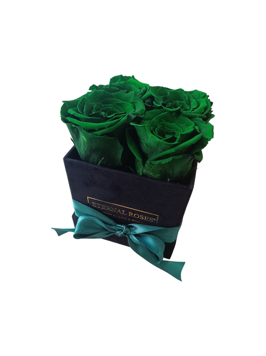 Box Luxury Square Nero S - Rose Stabilizzate Verdi