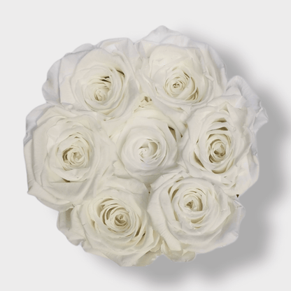 Rose Eterne Bianche XL - Box Bianco S