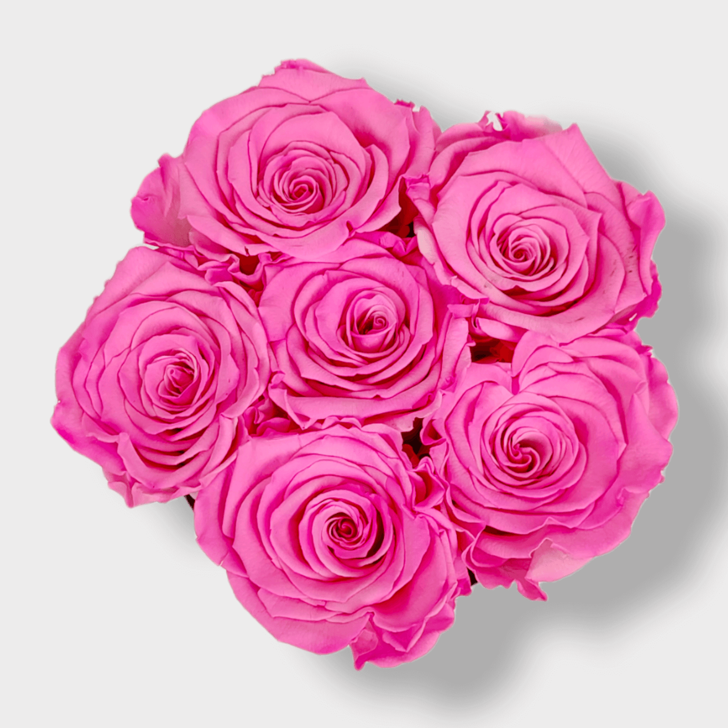 Newborn Girl Box S - Rose Eterne Rosa XL