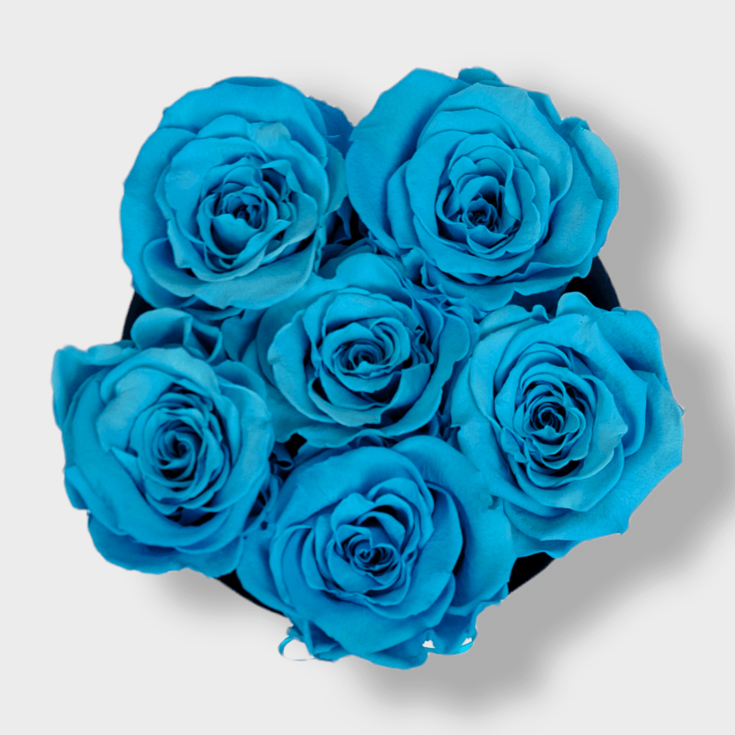 Newborn Boy Box S - Rose Eterne Azzurre XL