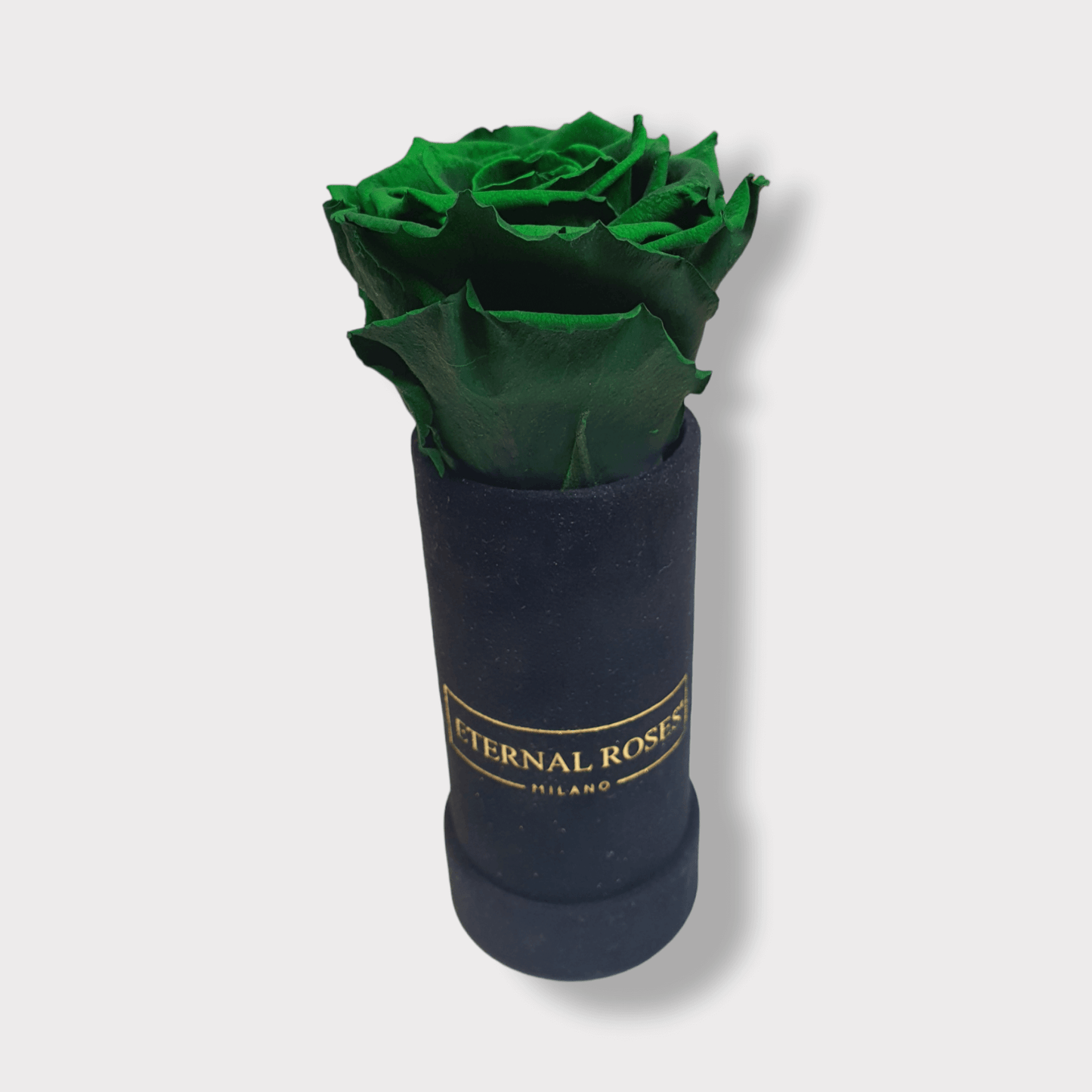 Rosa Eterna Verde XL - Box Alcantara Nero XS