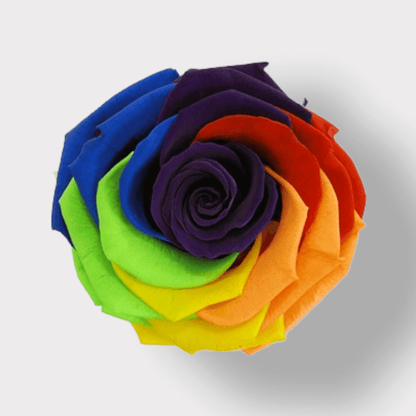 Rosa Eterna Rainbow XL - Campana di vetro
