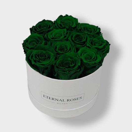 Rose Eterne Verdi XL - Box Bianco M