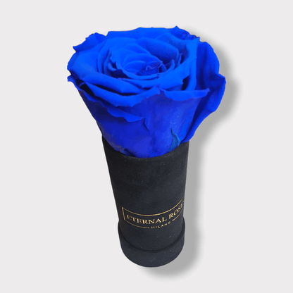 Rosa Eterna Blu XL - Box Alcantara Nero XS